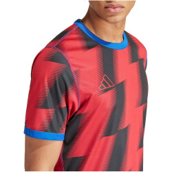 adidas Reversible 24 wendbares Trikot Herren AD8R - royblu/tepore XS