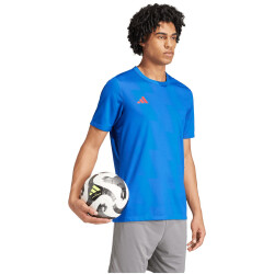 adidas Reversible 24 wendbares Trikot Herren AD8R - royblu/tepore XS