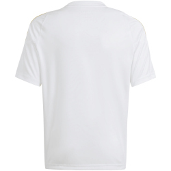 adidas Pitch 2 Street Messi Trainingstrikot Kinder 001A - white/seblbu 116