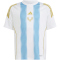 adidas Pitch 2 Street Messi Trainingstrikot Kinder 001A - white/seblbu 116