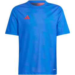 adidas Reversible 24 wendbares Trikot Kinder AD8R -...