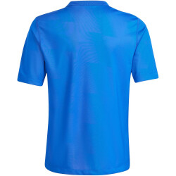 adidas Reversible 24 wendbares Trikot Kinder AD8R - royblu/tepore 116