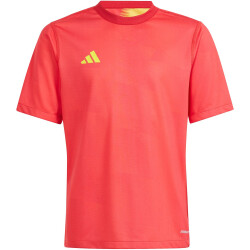 adidas Reversible 24 wendbares Trikot Kinder AEPU -...