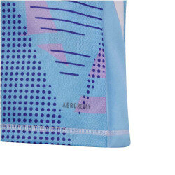 adidas Tiro24 Competition langarm Torwarttrikot Kinder AF4D - seblbu 116