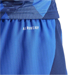 adidas Tiro24 Competition Match Trainingsshorts Damen AD8R - royblu XS