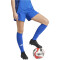 adidas Tiro24 Competition Match Trainingsshorts Damen AD8R - royblu S