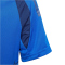 adidas Tiro24 Competition Match Trainingstrikot Kinder AD8R - royblu 116