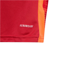 adidas Tiro24 Competition Match Trainingstrikot Kinder AEPU - tepore/apsord 116