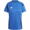 adidas Tiro24 Competition Match Fußballtrikot Damen AD8R - royblu XS