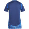 adidas Tiro24 Competition Match Fußballtrikot Damen AEQ1 - tenabl S