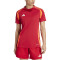 adidas Tiro24 Competition Match Fußballtrikot Damen AEPU - tepore/apsord L