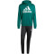 adidas Sportswear French Terry Jogginganzug mit Hoodie Herren 024A - cgreen M