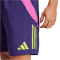 adidas Generation Predator Downtime Fu&szlig;ballshorts Herren 051A - dpurpl S