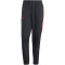 adidas Predator 30Th Woven Trainingshose Herren 095A - black/red L