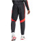 adidas Predator 30Th Woven Trainingshose Herren 095A - black/red L