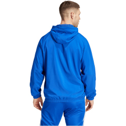 adidas Tiro 24 Windbreaker Herren IM8811 - team royal...