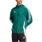 adidas Tiro 24 Windbreaker Herren IM8810 - team dark green/white XS