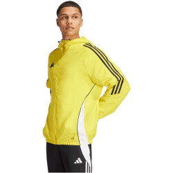 adidas Tiro24 Windbreaker Herren ADF7 - tmyell/white/black S