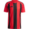 adidas Striped 24 Fu&szlig;balltrikot Herren IW4556 - team power red 2/black S