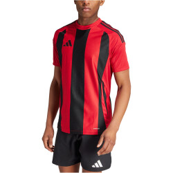 adidas Striped 24 Fußballtrikot Herren AEPU - tepore/black L