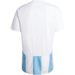 adidas Striped 24 Fußballtrikot Herren IW4555 - team light blue/white/white S