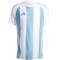 adidas Striped 24 Fußballtrikot Herren IW4555 - team light blue/white/white S
