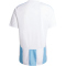 adidas Striped 24 Fußballtrikot Herren IW4555 - team light blue/white/white S