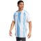 adidas Striped 24 Fußballtrikot Herren IW4555 - team light blue/white/white S