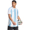 adidas Striped 24 Fußballtrikot Herren IW4555 - team light blue/white/white S