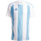 adidas Striped 24 Fußballtrikot Herren ADA3 - tmlgbl/white/white XL