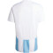 adidas Striped 24 Fußballtrikot Herren ADA3 - tmlgbl/white/white XL