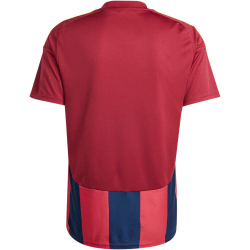 adidas Striped 24 Fußballtrikot Herren IW2149 - team navy blue 2/team coll burgundy 2/team yellow S