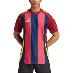 adidas Striped 24 Fußballtrikot Herren IW2149 - team navy blue 2/team coll burgundy 2/team yellow S