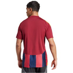 adidas Striped 24 Fußballtrikot Herren IW2149 - team navy blue 2/team coll burgundy 2/team yellow S