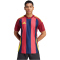 adidas Striped 24 Fußballtrikot Herren IW2149 - team navy blue 2/team coll burgundy 2/team yellow S