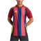 adidas Striped 24 Fußballtrikot Herren IW2149 - team navy blue 2/team coll burgundy 2/team yellow S