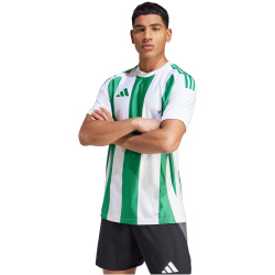 adidas Striped 24 Fu&szlig;balltrikot Herren 001A - white/teagrn XS