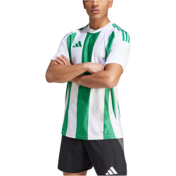 adidas Striped 24 Fu&szlig;balltrikot Herren 001A - white/teagrn XS