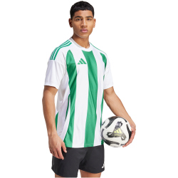 adidas Striped 24 Fu&szlig;balltrikot Herren 001A - white/teagrn XS