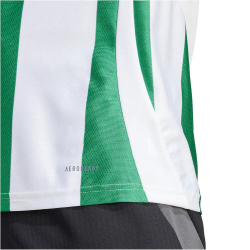 adidas Striped 24 Fu&szlig;balltrikot Herren 001A - white/teagrn XS