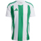adidas Striped 24 Fu&szlig;balltrikot Herren IW2148 - white/team green XS
