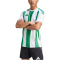 adidas Striped 24 Fu&szlig;balltrikot Herren IW2148 - white/team green XS