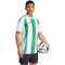 adidas Striped 24 Fußballtrikot Herren 001A - white/teagrn S