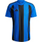 adidas Striped 24 Fußballtrikot Herren AD8R - royblu/black XS