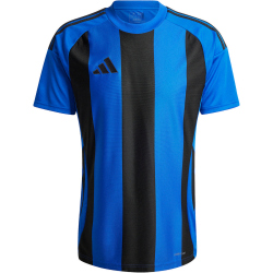 adidas Striped 24 Fu&szlig;balltrikot Herren AD8R - royblu/black M