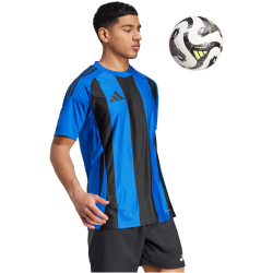 adidas Striped 24 Fu&szlig;balltrikot Herren AD8R - royblu/black M