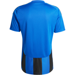 adidas Striped 24 Fu&szlig;balltrikot Herren AD8R - royblu/black XL