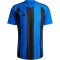 adidas Striped 24 Fußballtrikot Herren AD8R - royblu/black XXL