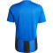 adidas Striped 24 Fußballtrikot Herren AD8R - royblu/black XXL