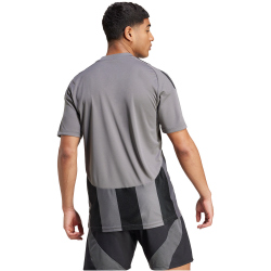 adidas Striped 24 Fu&szlig;balltrikot Herren AE2C - tegrfo/black S